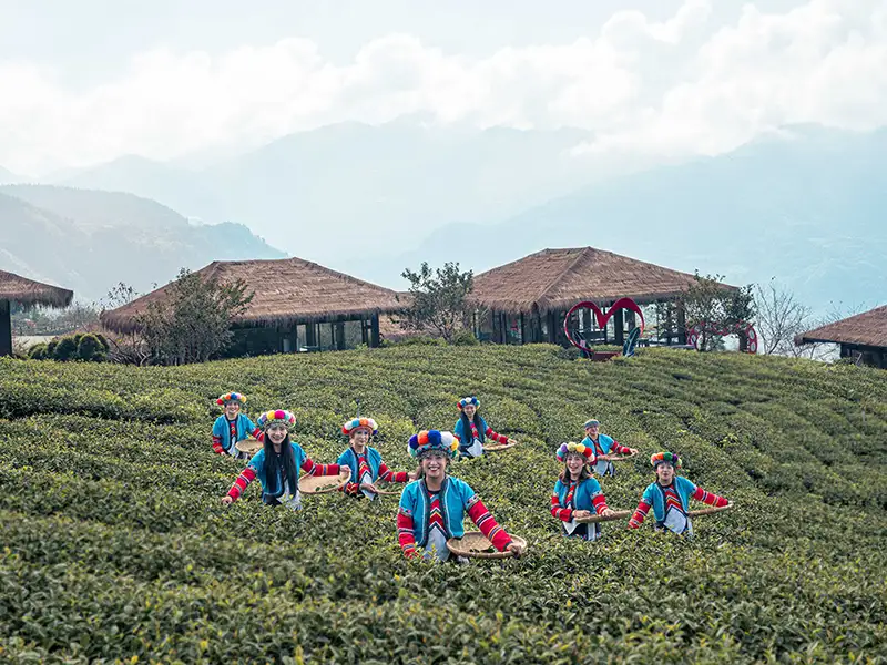 2025嘉義縣部落旅遊節登場！一起深入阿里山鄒族部落