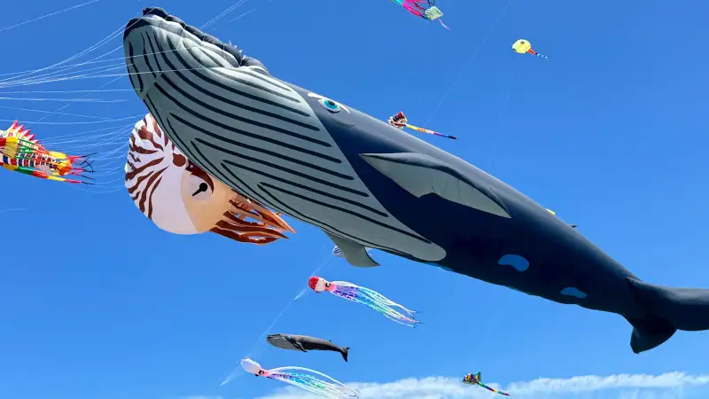 風箏嘉年華本週六日在曾文園區空中展氣勢