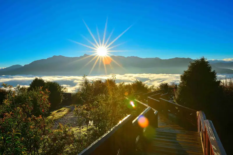 2026阿里山日出印象音樂會登場　四大重量級音樂人陪伴迎新年