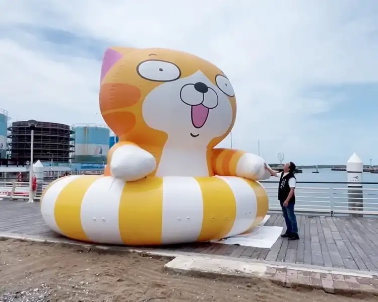 白爛貓航進馬公港！澎湖暑假最萌海上打卡點來了