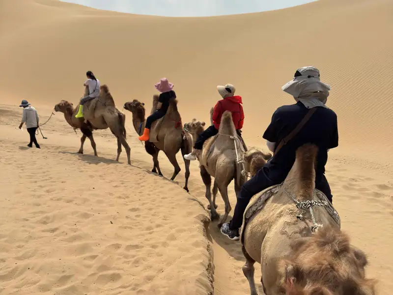 沙灣翻轉沙漠印象  一場結合自然奇觀與歡樂體驗的旅程