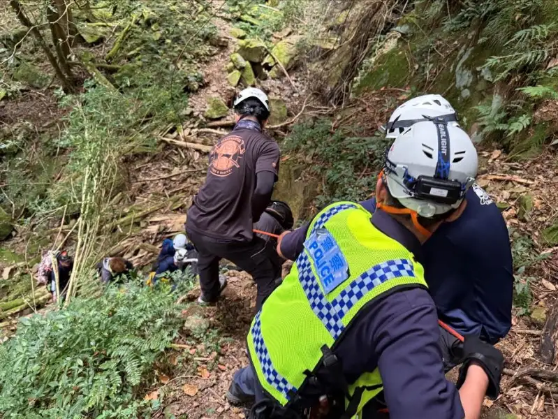 親子團健行驚魂！11歲童阿里山墜谷　警消垂降救援平安脫險